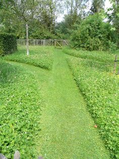 a path through a lush green field next to a wooden fence