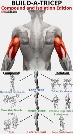 an image of the back and shoulder muscles with text below it that says build - a - tricep