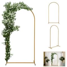 an arch with white flowers on it next to a metal stand and two pictures of the same plant