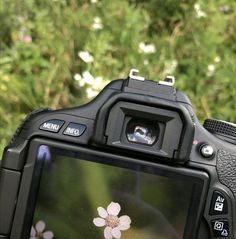 a close up of a camera with a flower on it's screen and trees in the background