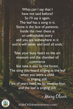 a poem written in the middle of a forest