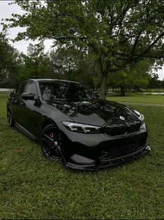 a black sports car parked in the grass near a tree and some water on a cloudy day