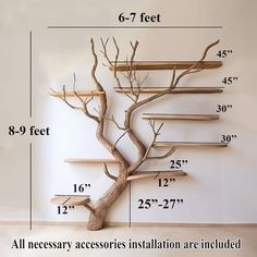 a tree is shown with measurements for the branches