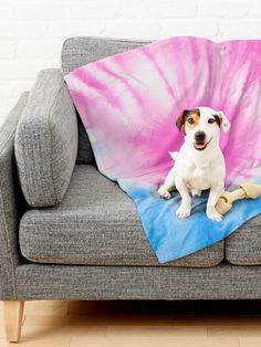 a dog sitting on top of a couch under a pink and blue tie dye blanket