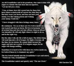 an image of a white wolf with feathers on it's head and words below