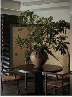 a potted plant sitting on top of a wooden table