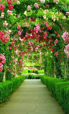 a pathway lined with lots of pink and white flowers on top of lush green trees