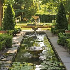 a water fountain in the middle of a garden with lily pads and trees around it