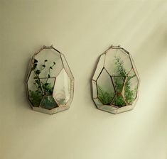 two mirrors that have plants in them on the wall