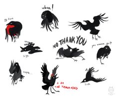 some black birds with red beaks and the words no thank you