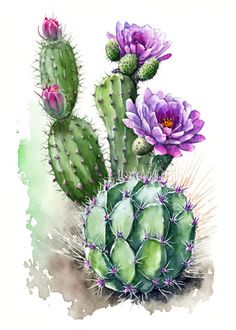 watercolor painting of cactus and succulents