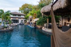 an outdoor swimming pool with hammock chairs and palm trees in the foreground