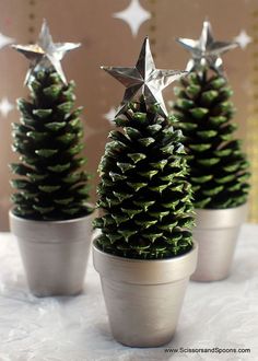 three potted pine trees with silver stars on them