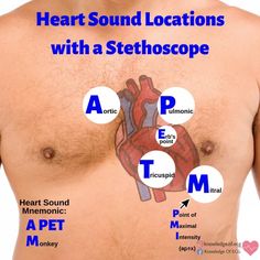 an image of the heart with stethoscopes on it's chest