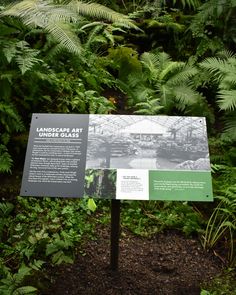 a sign in the middle of some plants