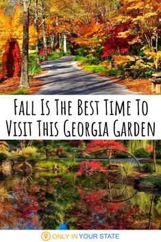 fall is the best time to visit this georgia garden