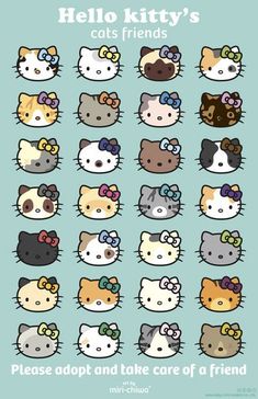 hello kitty's cat friends poster