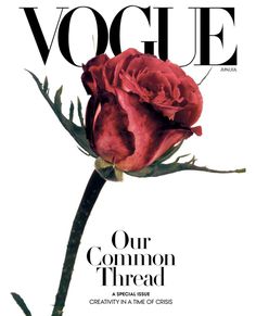 a red rose on the cover of a magazine