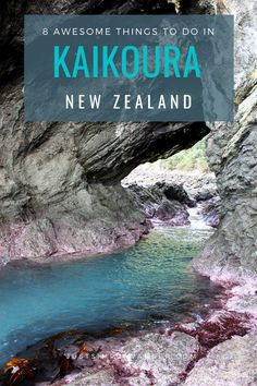 the blue hole in new zealand with text overlay that reads 8 awesome things to do in kaikoura