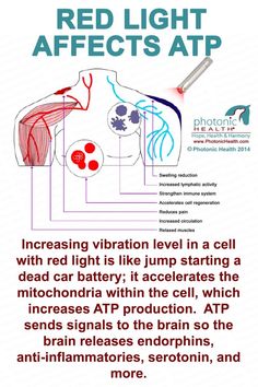 Infrared Light Therapy, Sauna Benefits, Strengthen Immune System, Effortless Look, Infrared Light, Led Light Therapy, Laser Therapy, Red Light Therapy