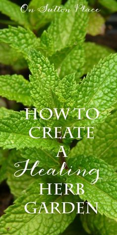 green leaves with the words how to create a relaxing herb garden