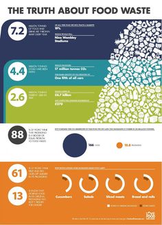 the truth about food waste infographical poster with text and images in different colors