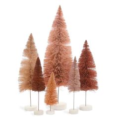 five different types of fake trees in vases on a white background with clipping for text