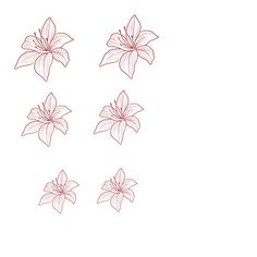 four red flowers on a white background with one pink flower in the middle and three petals at the bottom