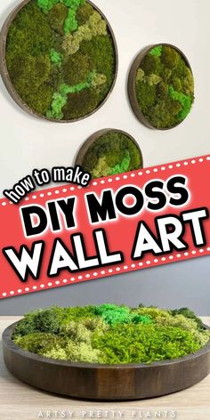 moss wall art is displayed in front of a sign that says how to make diy moss wall art