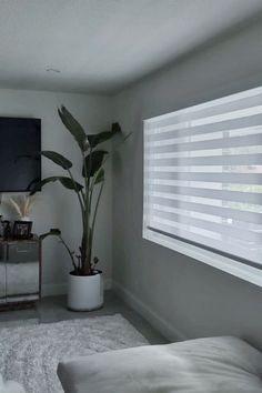 a living room filled with furniture and a flat screen tv mounted on a wall above a window