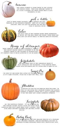 a poster with different types of pumpkins and their names in english, french, and spanish