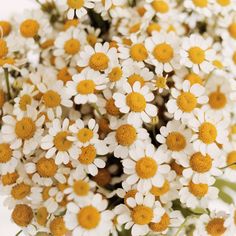 a bunch of white and yellow flowers in a vase