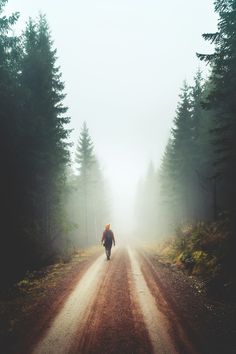 a person walking down a dirt road in the middle of a forest with trees on both sides