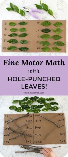 the fine motor math with hole - punched leaves