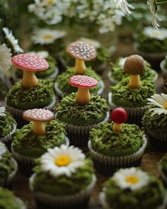 cupcakes decorated with moss, mushrooms and daisies are sitting on a table