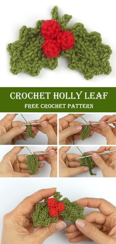 crochet holly leaf with red flowers is shown in four different pictures and the text below reads, crochet holly leaf free crochet pattern