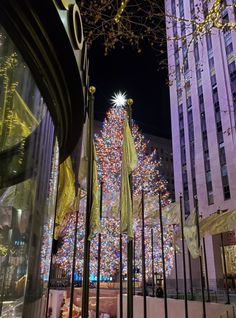 a christmas tree is lit up in the city