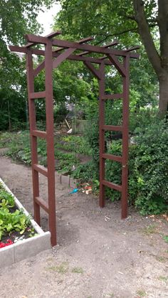 an outdoor garden area with various plants and trees in the background, including a trellis