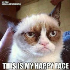 a grumpy cat looking at the camera with caption that says, this is my happy face