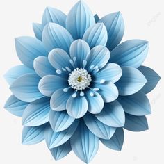 realistic beautiful soft blue flower illustration element flowers png Blue Flower Illustration, Blue Flower Png, 2025 Journal, Decoupage Flowers, Graphic Design Careers, Flower Clip Art, Png Flowers, Flower Background Design, Creative Notebooks