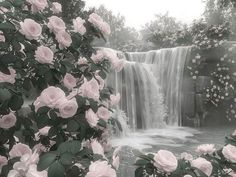 Hellenic Polytheism, Gloomy Coquette, Soft Pink Theme, Baby Pink Aesthetic, Angel Aesthetic, Pretty Landscapes, Pretty Photos, Laptop Wallpaper