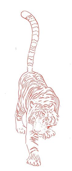 a drawing of a tiger that is walking