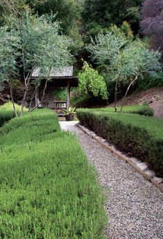 a garden with lots of green bushes and trees in it's center, next to a small wooden structure