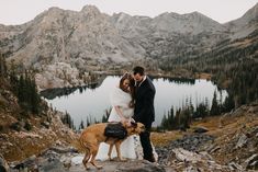 a bride and groom pose with their dog at the top of a mountain overlooking a lake