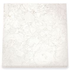 a white marble tile on a white background with no people in it or someone else