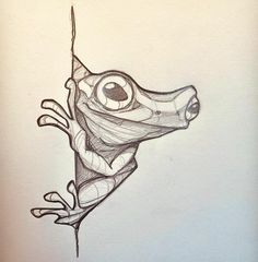 a pencil drawing of a frog's head