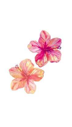 two pink flowers on a white background