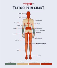 the anatomy of a man's body and its major parts, including his muscles