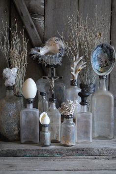 an assortment of glass bottles with sea shells in them