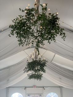 a chandelier hanging from the ceiling in a tent with white drapes and lights